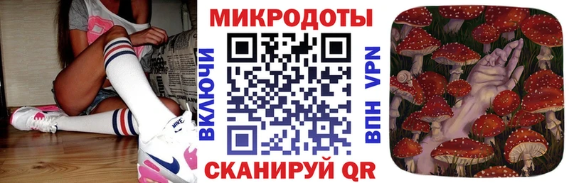 blacksprut ССЫЛКА  Кировград  Псилоцибиновые грибы GOLDEN TEACHER 