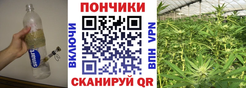 МАРИХУАНА Amnesia  omg вход  Кировград 